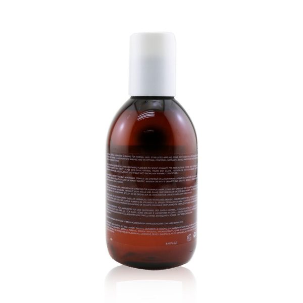 Sachajuan Normal Hair Shampoo  250ml 8.4oz Online Hot Sale