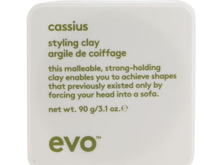 Evo Cassius Styling Clay  90g 3.1oz For Sale